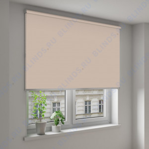 Рулонные шторы Louvolite Альфа блэкаут темно-бежевый - фото на окне