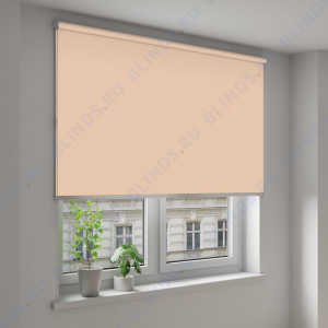 Рулонные шторы Louvolite Альфа блэкаут персиковый - фото на окне