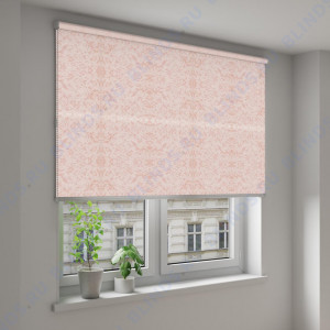 Рулонные шторы Louvolite Шёлк персиковый - фото на окне