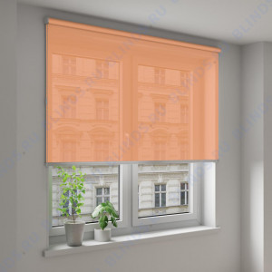 Рулонные шторы Louvolite Альфа светло-оранжевые - фото на окне