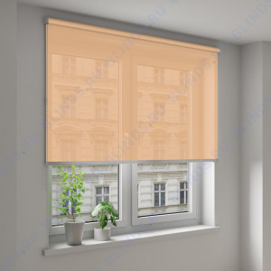 Рулонные шторы Louvolite Альфа персиковый - фото на окне