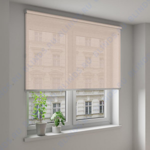 Рулонные шторы Louvolite Перл персиковый - фото на окне