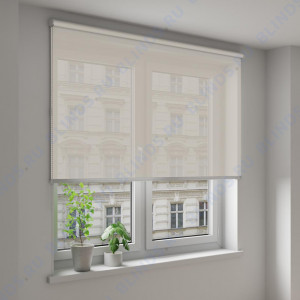 Рулонные шторы Louvolite Скрин 3% бежевый - фото на окне