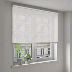 Рулонные шторы Louvolite Скрин 5% светло-бежевый - фото на окне