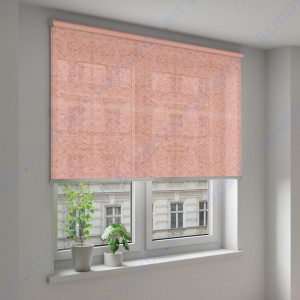 Рулонные шторы Louvolite Шёлк терракота - фото на окне