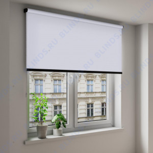 Рулонные шторы Coulisse Скрин светло-серый - фото на окне