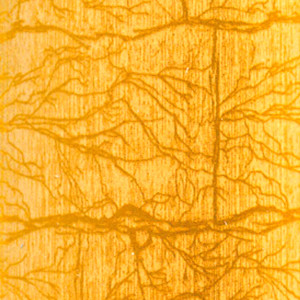 Вертикальные пластиковые жалюзи Фрост золото - фото материала